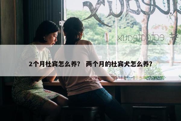 2个月杜宾怎么养？ 两个月的杜宾犬怎么养？