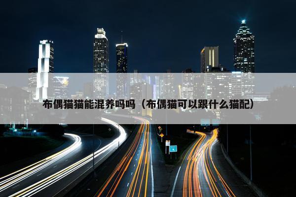 布偶猫猫能混养吗吗（布偶猫可以跟什么猫配）