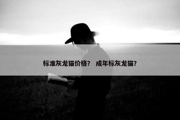标准灰龙猫价格？ 成年标灰龙猫？