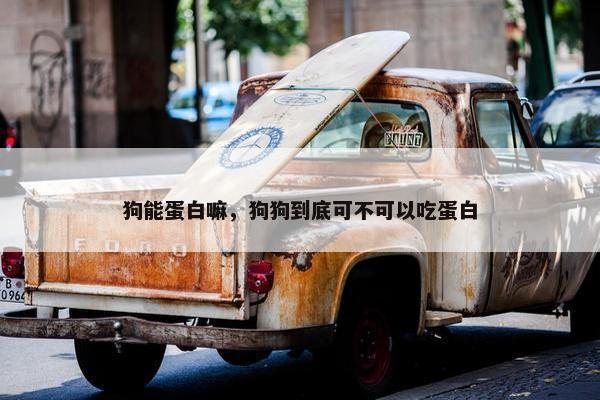 狗能蛋白嘛，狗狗到底可不可以吃蛋白