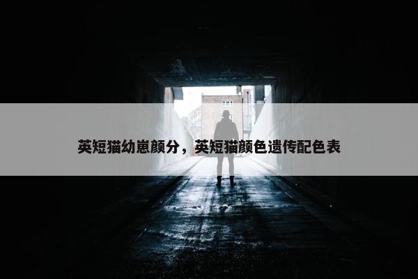 英短猫幼崽颜分，英短猫颜色遗传配色表