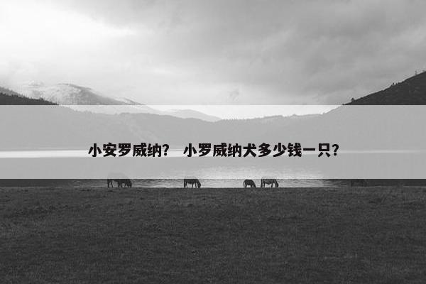 小安罗威纳？ 小罗威纳犬多少钱一只？