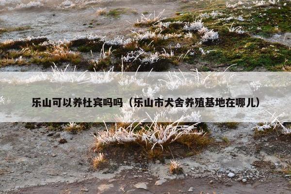 乐山可以养杜宾吗吗（乐山市犬舍养殖基地在哪儿）