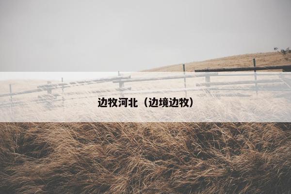 边牧河北（边境边牧）