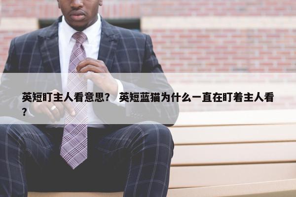 英短盯主人看意思？ 英短蓝猫为什么一直在盯着主人看？