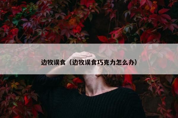 边牧误食（边牧误食巧克力怎么办）