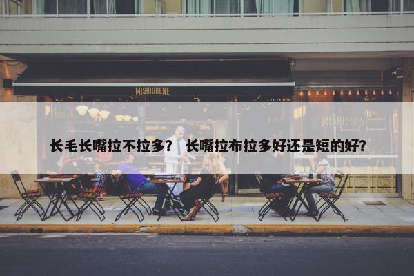 长毛长嘴拉不拉多？ 长嘴拉布拉多好还是短的好？