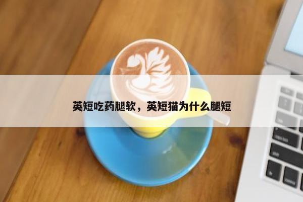 英短吃药腿软，英短猫为什么腿短
