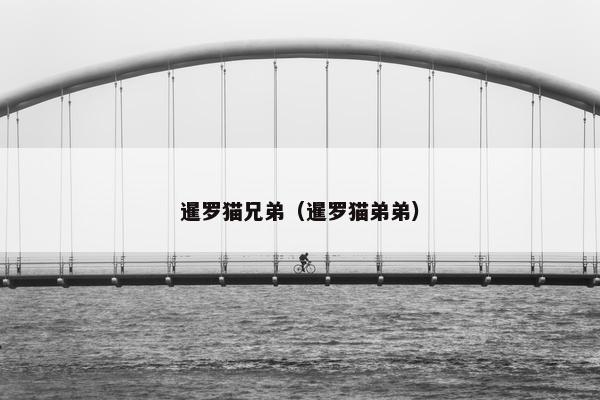 暹罗猫兄弟（暹罗猫弟弟）