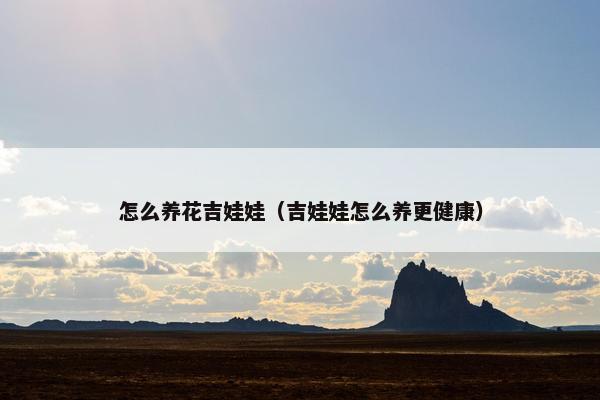 怎么养花吉娃娃（吉娃娃怎么养更健康）
