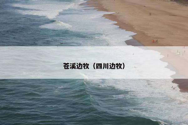 苍溪边牧（四川边牧）
