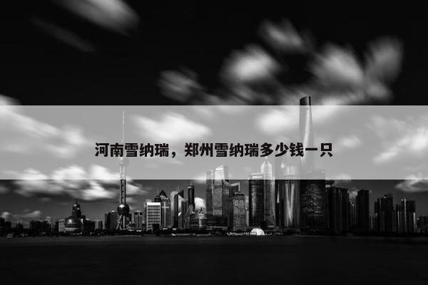 河南雪纳瑞，郑州雪纳瑞多少钱一只