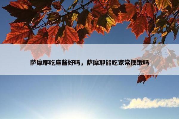 萨摩耶吃麻酱好吗，萨摩耶能吃家常便饭吗