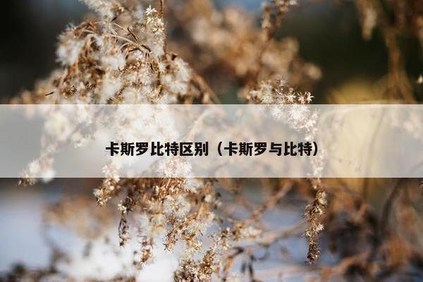 卡斯罗比特区别（卡斯罗与比特）
