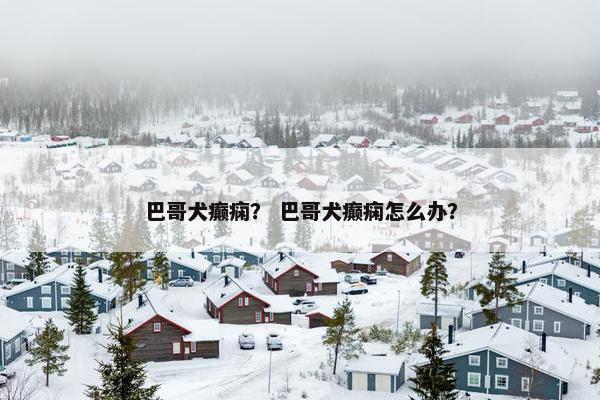 巴哥犬癫痫？ 巴哥犬癫痫怎么办？