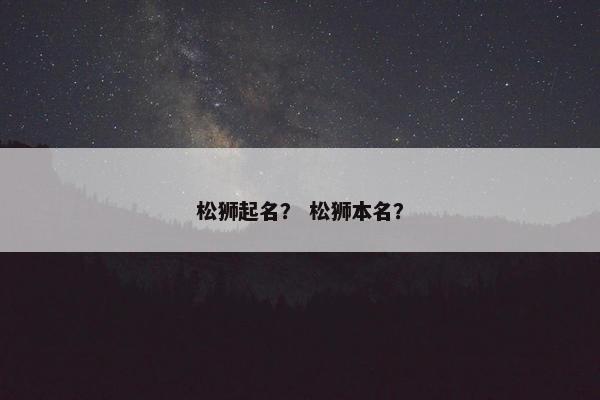松狮起名？ 松狮本名？