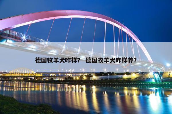 德国牧羊犬咋样？ 德国牧羊犬咋样养？