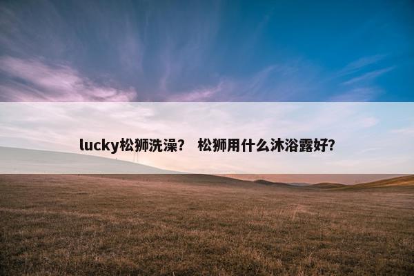 lucky松狮洗澡？ 松狮用什么沐浴露好？