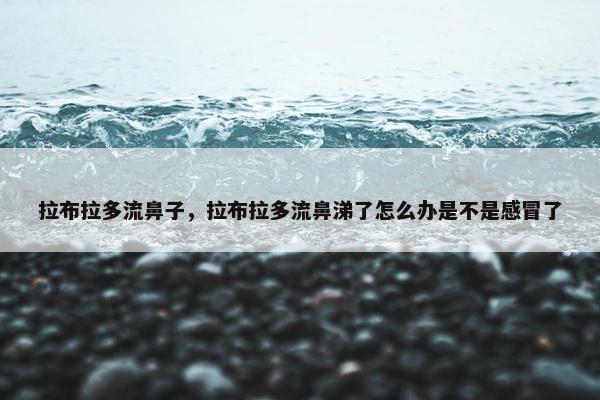 拉布拉多流鼻子，拉布拉多流鼻涕了怎么办是不是感冒了