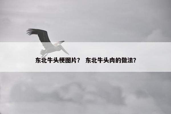 东北牛头梗图片？ 东北牛头肉的做法？