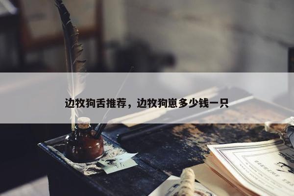 边牧狗舌推荐，边牧狗崽多少钱一只