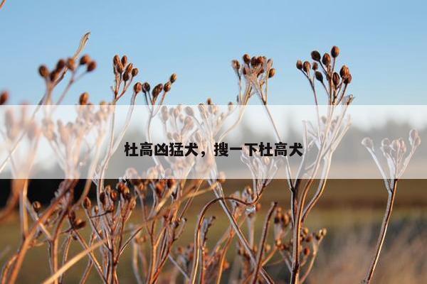 杜高凶猛犬，搜一下杜高犬