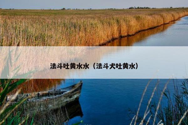 法斗吐黄水水（法斗犬吐黄水）