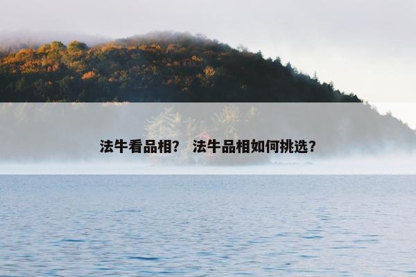 法牛看品相？ 法牛品相如何挑选？
