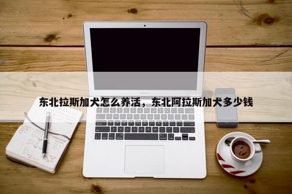 东北拉斯加犬怎么养活，东北阿拉斯加犬多少钱
