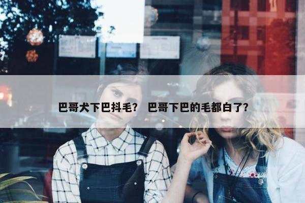 巴哥犬下巴抖毛？ 巴哥下巴的毛都白了？