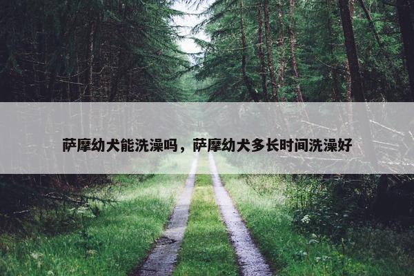 萨摩幼犬能洗澡吗，萨摩幼犬多长时间洗澡好