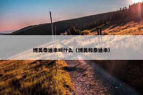 博美泰迪串叫什么（博美和泰迪串）