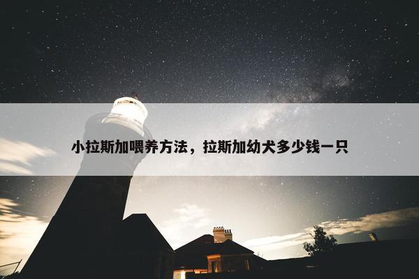 小拉斯加喂养方法，拉斯加幼犬多少钱一只