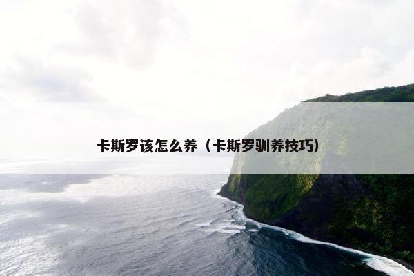 卡斯罗该怎么养（卡斯罗驯养技巧）