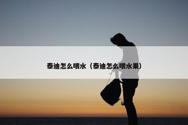 泰迪怎么喂水（泰迪怎么喂水果）