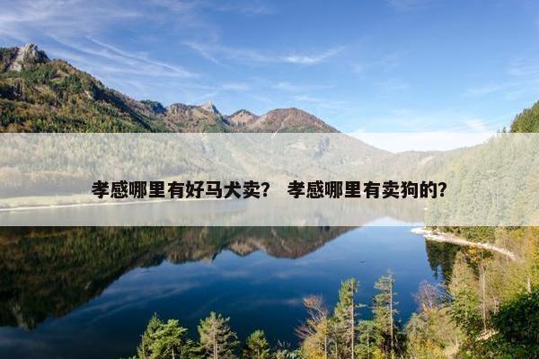 孝感哪里有好马犬卖？ 孝感哪里有卖狗的？