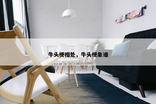 牛头梗相处，牛头梗象谁