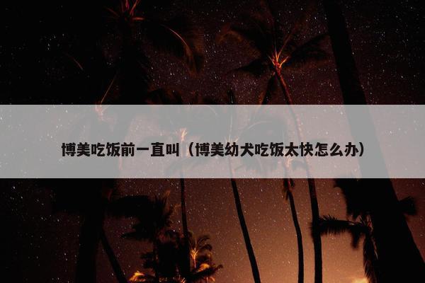 博美吃饭前一直叫（博美幼犬吃饭太快怎么办）
