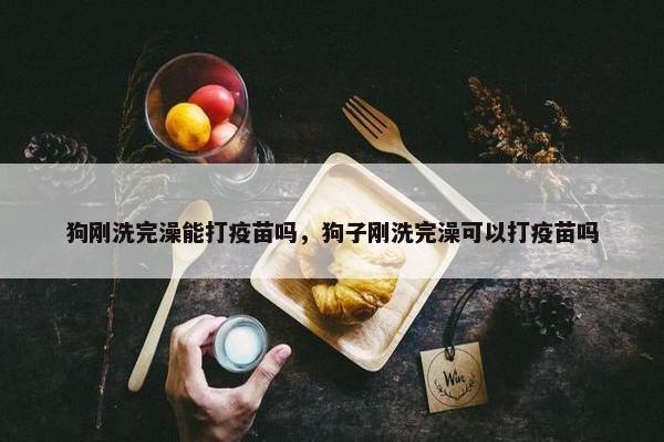 狗刚洗完澡能打疫苗吗，狗子刚洗完澡可以打疫苗吗