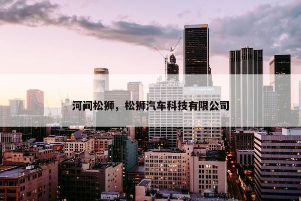 河间松狮，松狮汽车科技有限公司
