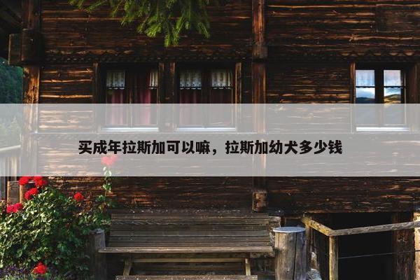 买成年拉斯加可以嘛，拉斯加幼犬多少钱