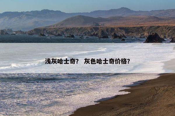 浅灰哈士奇？ 灰色哈士奇价格？