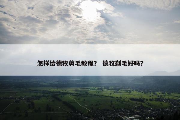 怎样给德牧剪毛教程？ 德牧剃毛好吗？