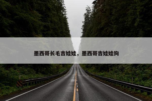 墨西哥长毛吉娃娃，墨西哥吉娃娃狗