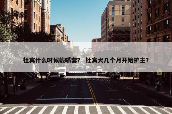 杜宾什么时候戴嘴套？ 杜宾犬几个月开始护主？