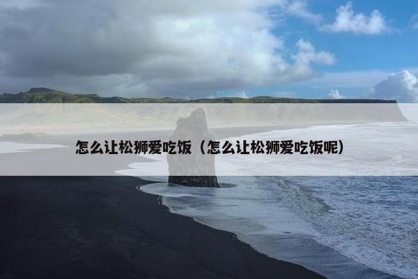 怎么让松狮爱吃饭（怎么让松狮爱吃饭呢）