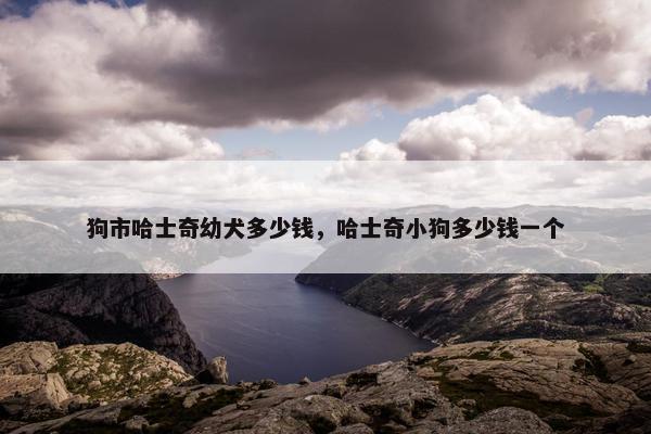 狗市哈士奇幼犬多少钱，哈士奇小狗多少钱一个