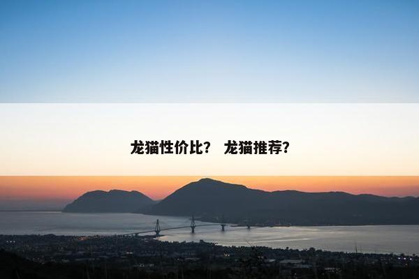 龙猫性价比？ 龙猫推荐？