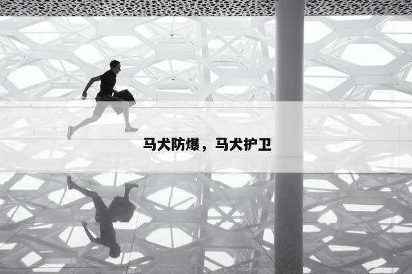 马犬防爆，马犬护卫