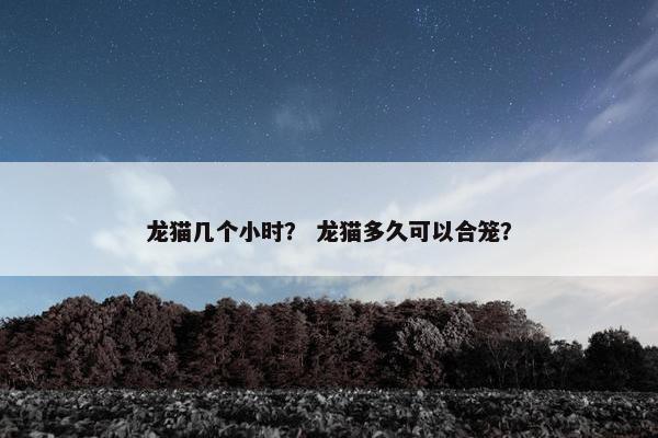 龙猫几个小时？ 龙猫多久可以合笼？